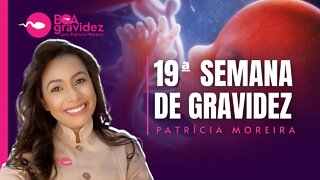 19 SEMANAS DE GRAVIDEZ - Gravidez Semana a Semana (atualizado)