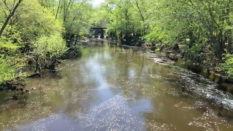 Little River at Reed Bingham State Park - Spring 2022