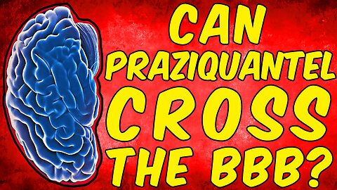 Can Praziquantel Cross The Blood Brain Barrier - (Science Based)