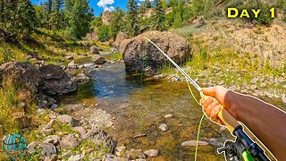 Fly Fishing NEW Creeks for Wild Trout! (Brown Trout and Rainbow Trout)