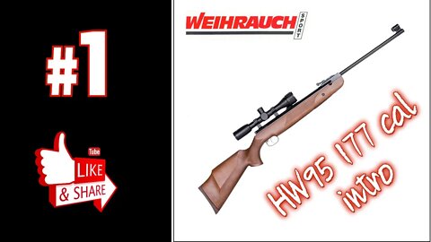 Weihrauch HW95 177 caliber intro