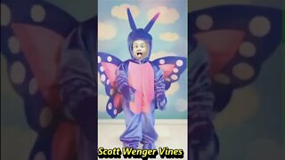 The dancing Man butterfly