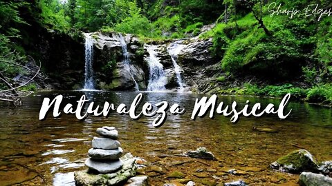 Relajese con Música Suave y Sonido de Agua Fluyendo || Ideal Para Meditar
