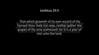 Leviticus Chapter 25