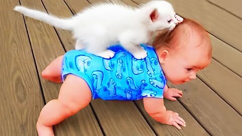 What Happends When Cute Cats Takes Care of Baby __ Cool Peachy