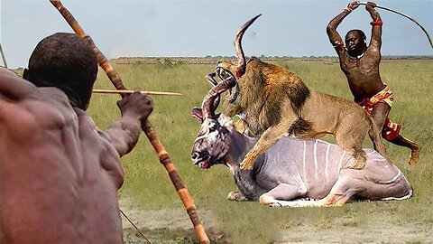 Brave Maasai Warriors Take Weapons To Fight Brutal Predators From Lion, Cheetah To Rescue Poor Kudu