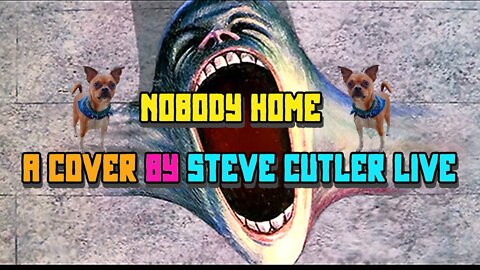 nobody home a cover by steve cutler live