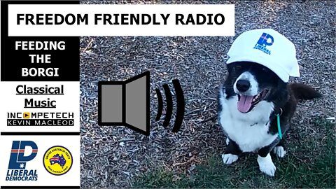 Feeding Borgi with Freedom Friendly Radio (Classical Royalty Free music by Kevin Macleod)