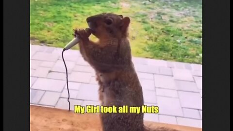 Squirrel Is The Next Huge Rapper, Sony WIll Sign Him For Sure