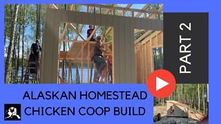 Alaskan Homestead Chicken Coop Build | Part 2 | Modern Homestead In Alaska