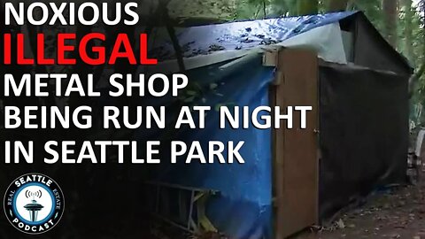 Seattle Leadership Tolerates Illegal METAL SHOP in Park I Seattle Real Estate Podcast