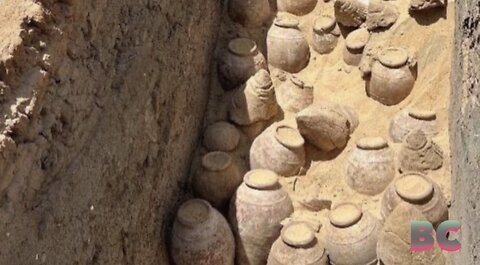Sealed 5,000-Year-Old Wine Jars From Ancient Egypt Unearthed