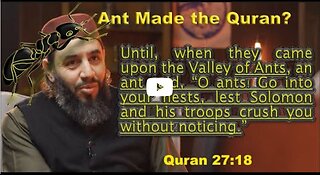 May 31, 2023 Muslim ants made the writings.