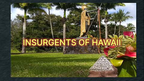Insurgents of Hawaii