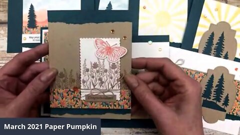 March 2021 Paper Pumpkin Card Ideas - Here’s To You