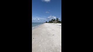 Livestream Clip - Barefoot Beach, FL Before Ian 8/26/2022 PT 7