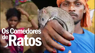 Os Comedores de Rato | The Rat Eaters | JV Jornalismo Verdade