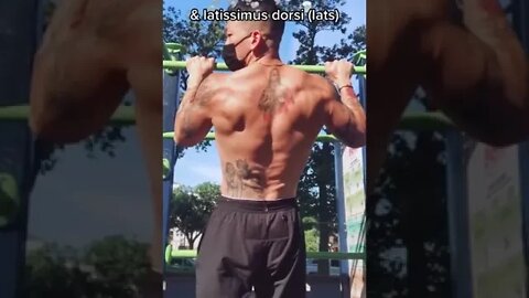 How To Increase Your Pull-Ups From 0 to 10+ Reps FAST Pull ups Technique