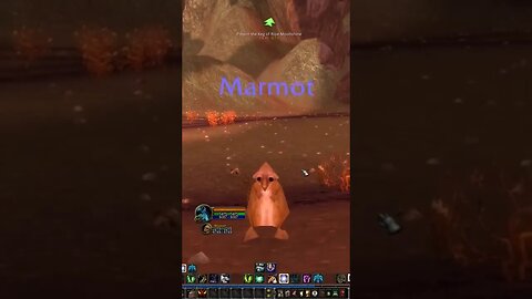 7 pixels Marmot Druid form. World of Warcraft. #shorts