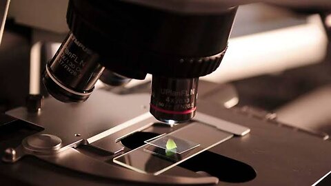 Medical Laboratory things under microscope
