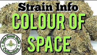 Colour of Space by In-House Genetics & From BC Bud Supply