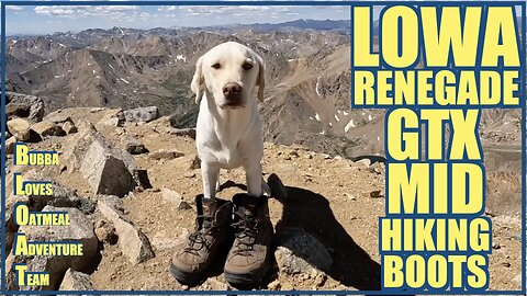 Lowa Renegade GTX Mid Hiking Boots Test and Review