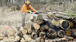 Top-Down Approach Cutting Firewood Logs