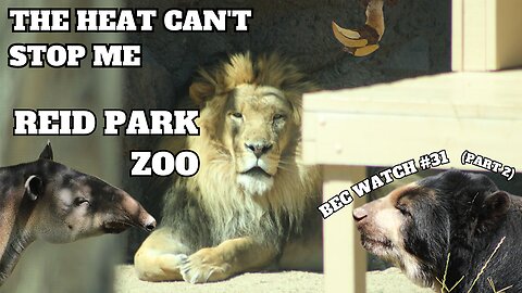 The Hottest Zoo I've Been To Yet! | BEC TREK Episode 31 (Part 2)