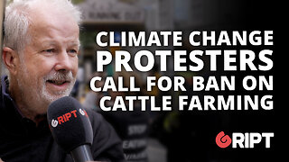 "It shouldn't be allowed": Irish climate protesters call to ban cattle farming.