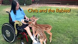 Chris and the Herd August 26th