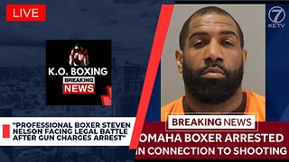 Steven Nelson, Professional Boxer, Arrested on Gun Charges