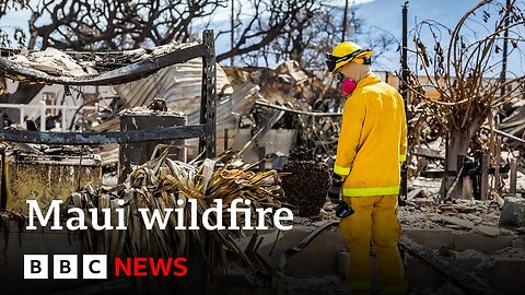 Maui wildfire: More than a thousand still missing after Hawaii wildfire - BBC News