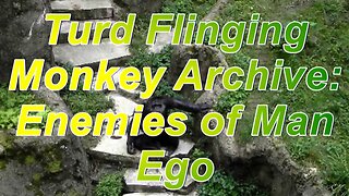 3. Turd Flinging Monkey Enemies of Man Ego (Mirror)