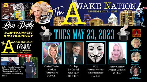KERRY CASSIDY ON AWAKE NATION : THE ODDS ARE STACKED
