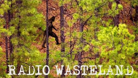 Audio Samples of Bigfoot Calls: Ronald Morehead The “Sierra Sounds”