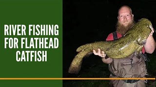 River Fishing For Flathead Catfish + Channel Cats, Bass & Carp / Flathead Catfish Fishing Michigan