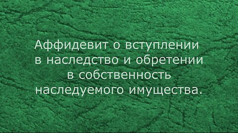 Аффидевит на имущество Ирина Юрьевна Половнева