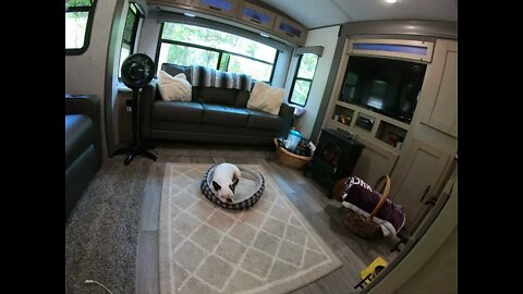 Jammin after lunch before our Hike in the Woods. Our sweet pup Molly! Camping Video Coming Soooon!