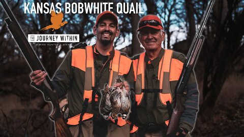 Kansas Bobwhite Quail: The Journey Within - A Bird Hunter's Diary | Mark V Peterson Hunting