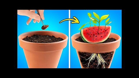 Watermelon Gardening 🍉And Satisfying Cut And Peel Hacks 🍉