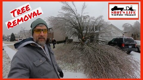 Removing Dads Ice Damaged Tree | Shots Life