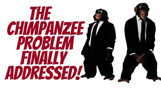 Yes, the chimpanzee problem....Finally!