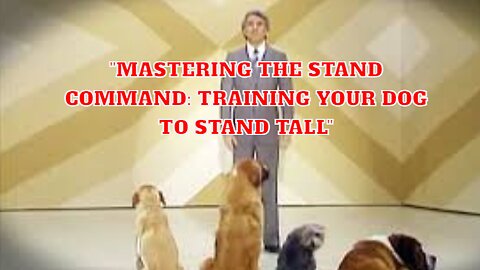 Mastering the Stand Command: Training Your Dog to Stand Tall