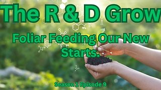 The R&D Grow S1 Ep 9 Foliar Feeding Our New Starts