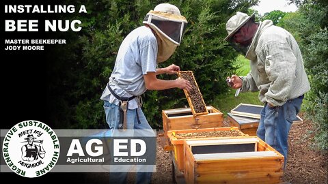 How to install a Bee NUC (nucleus colony) with Master Beekeeper Jody Moore | MMNP AG ED