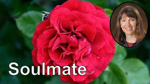 Attracting a Soulmate Guided Meditation