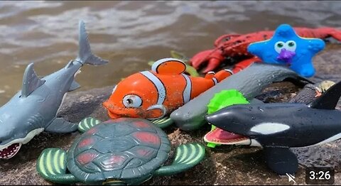 Sea Animal Toys This Summer at the Shore