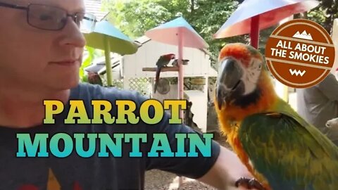 Parrot Mountain & Gardens - Pigeon Forge, TN