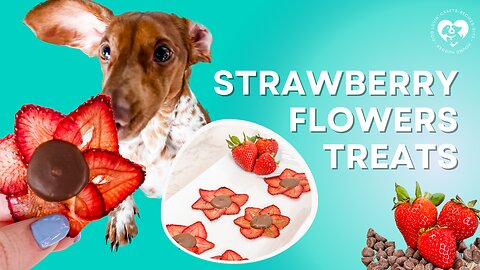 Strawberry Flowers Dog Treats