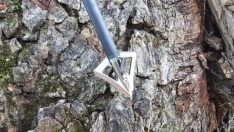 Vector VBS Broadhead Review